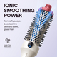 Holiday LE Blowout Boost with blue bristle design on a white background, featuring text about ionic smoothing power.