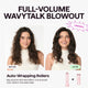 Airshape Pro Roller Airstyler Set