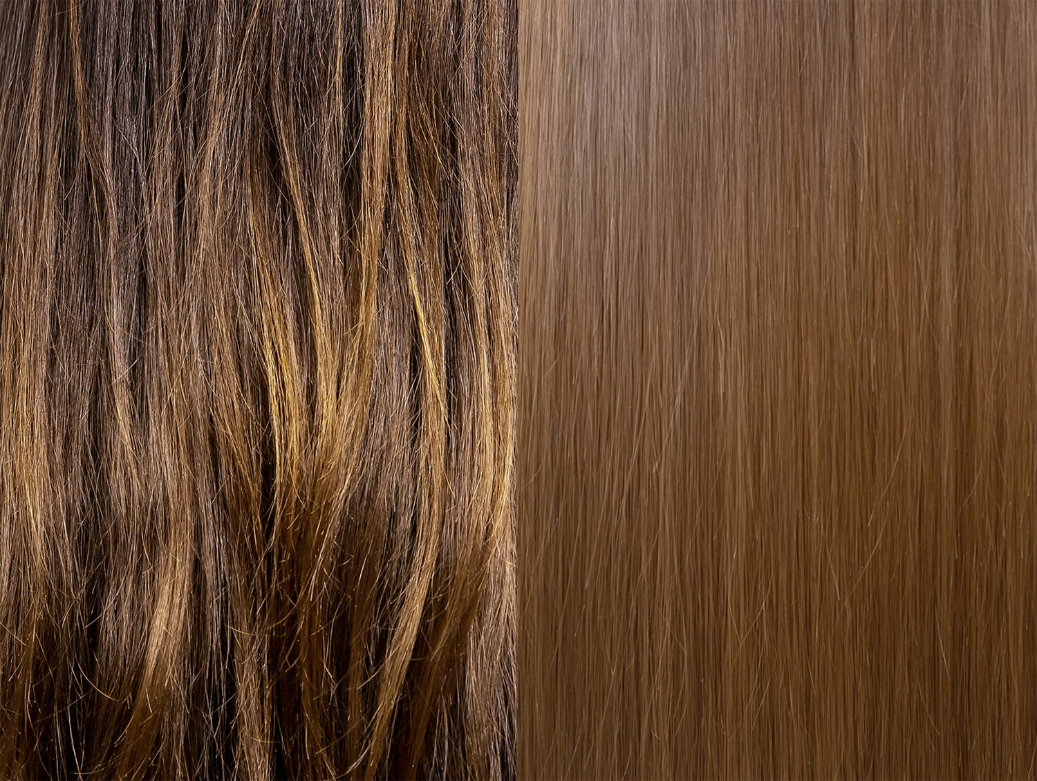 Close-up of brown hair with a plain brown background